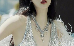 能播放的人与Zoom